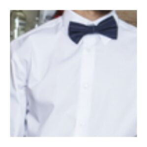Papillon unisex gessato